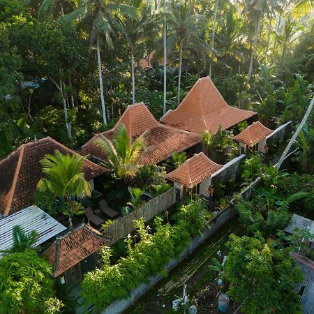 Jaya Villa Ubud  Luaran gambar